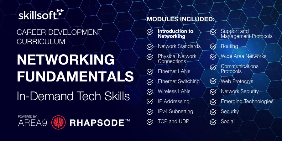 Networking Fundamentals Skillsoft Area9 Lyceum Banner